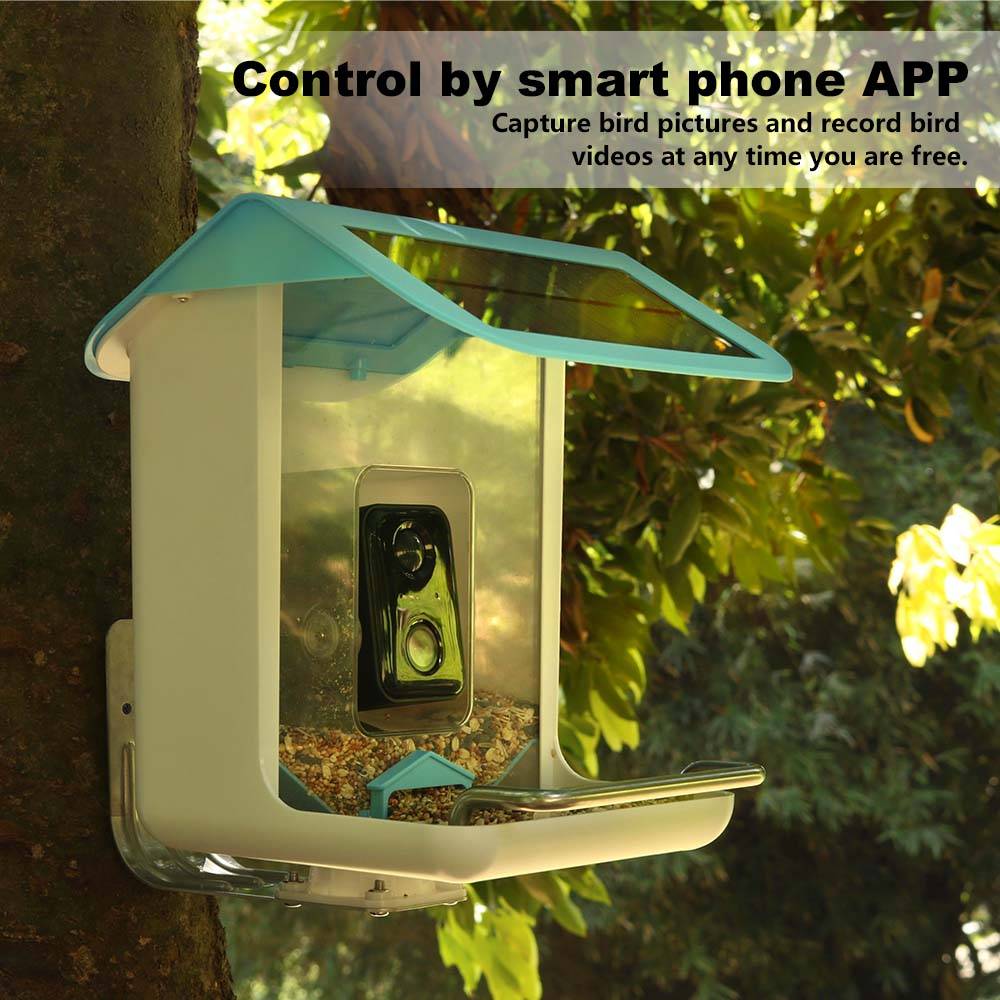 Outdoor Wildlife Wifi Camera C - Smart Bird Feeder Camera recension och pris