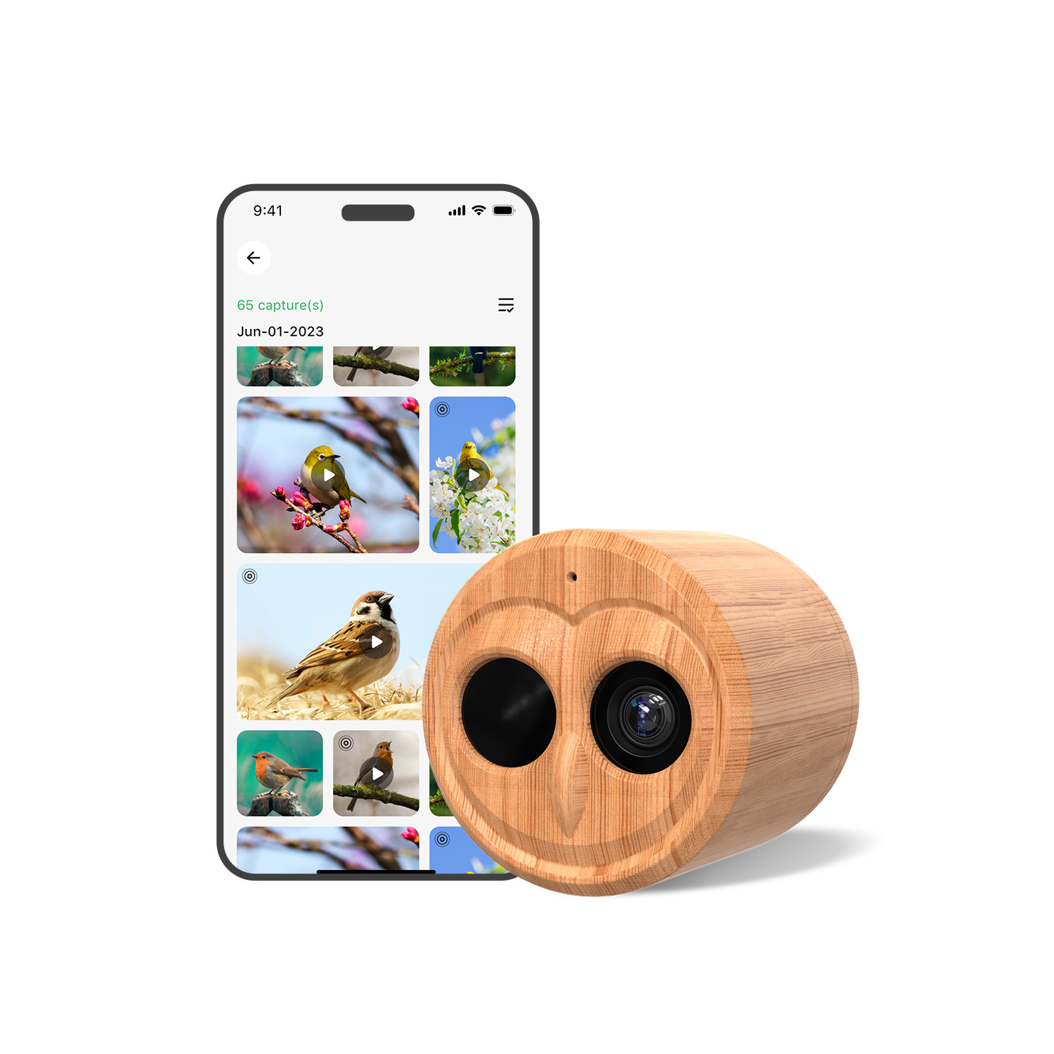 4K Smart Bird Feeder With Came - Smart Bird Feeder Camera recension och pris