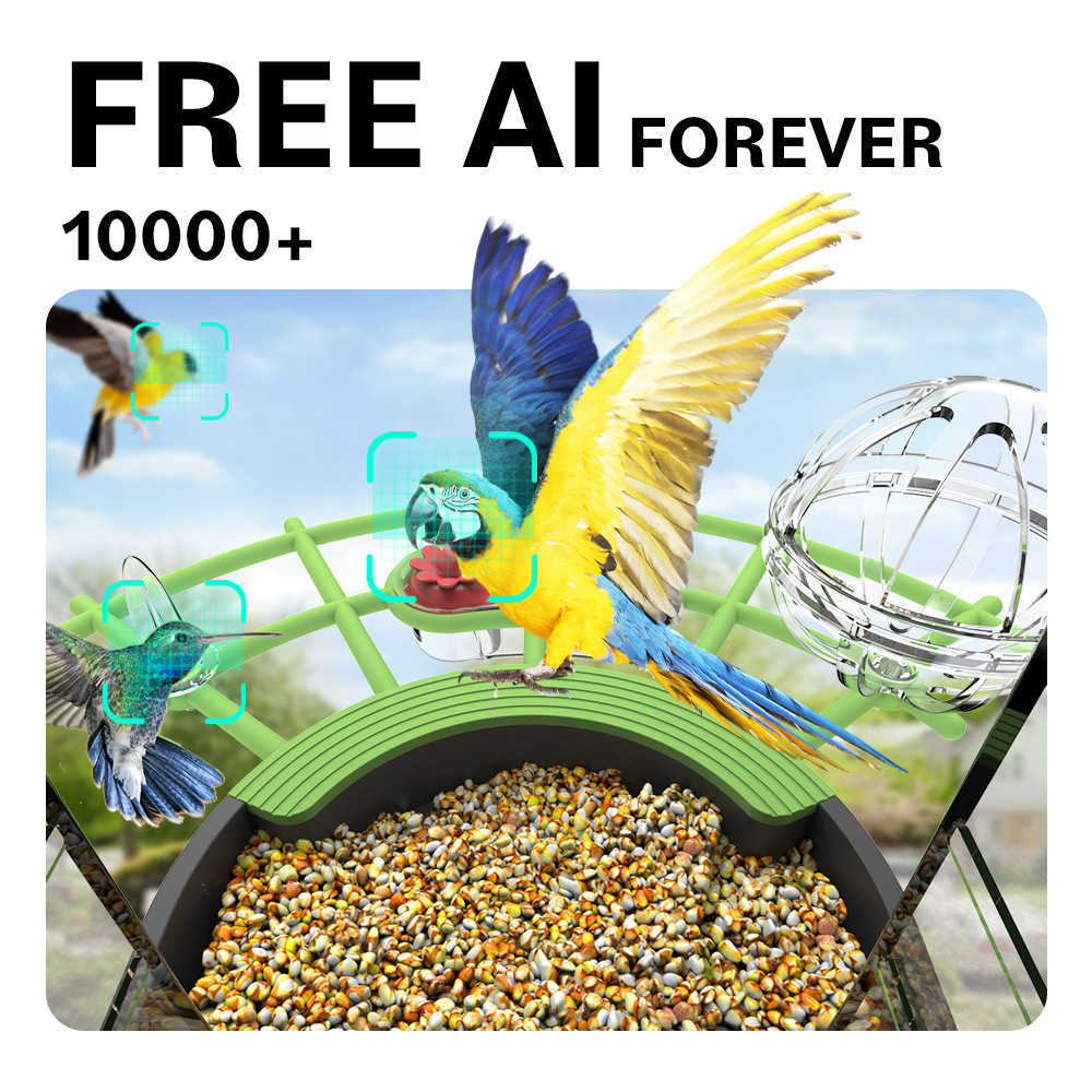 Wild Bird Feeder AI Identify S - Smart Bird Feeder Camera recension och pris