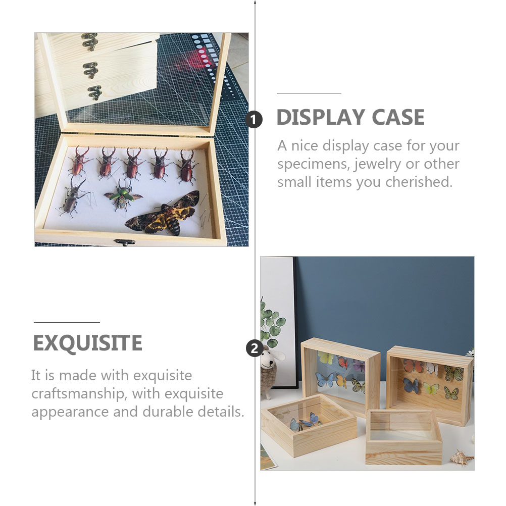 Vintage Insect Display Case Wo - Insect Hotel Wood recension och pris