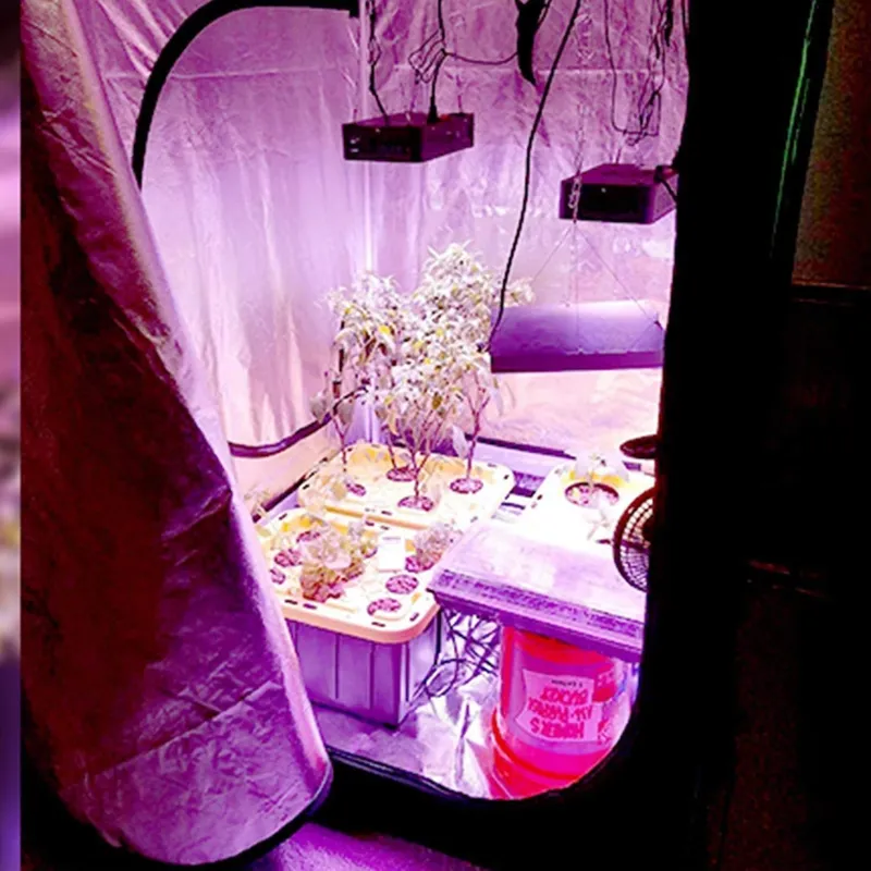 ROHE 100x100x200cm Hydroponic  - Grow Tent Complete Kit recension och pris