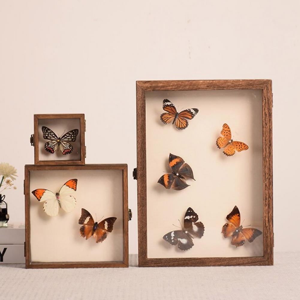 Wooden Display Case Butterfly  - Insect Hotel Wood recension och pris