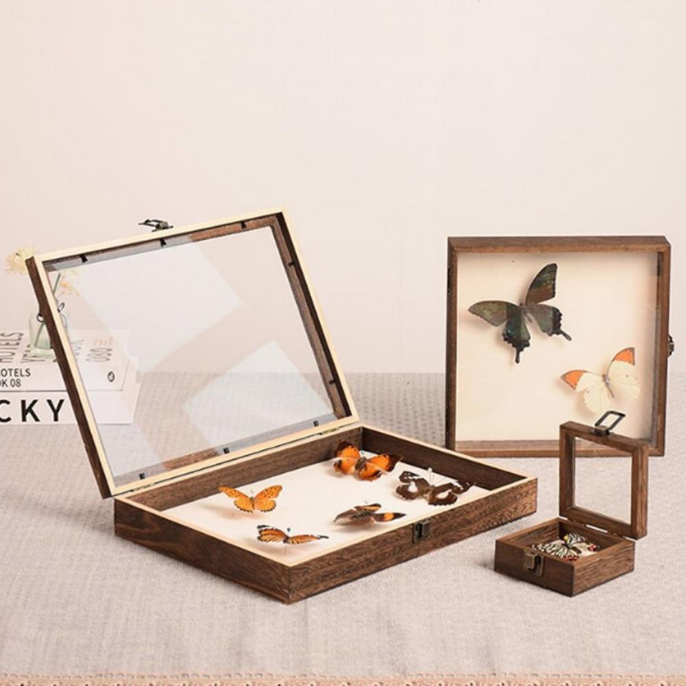 Wooden Display Case Butterfly  - Insect Hotel Wood recension och pris