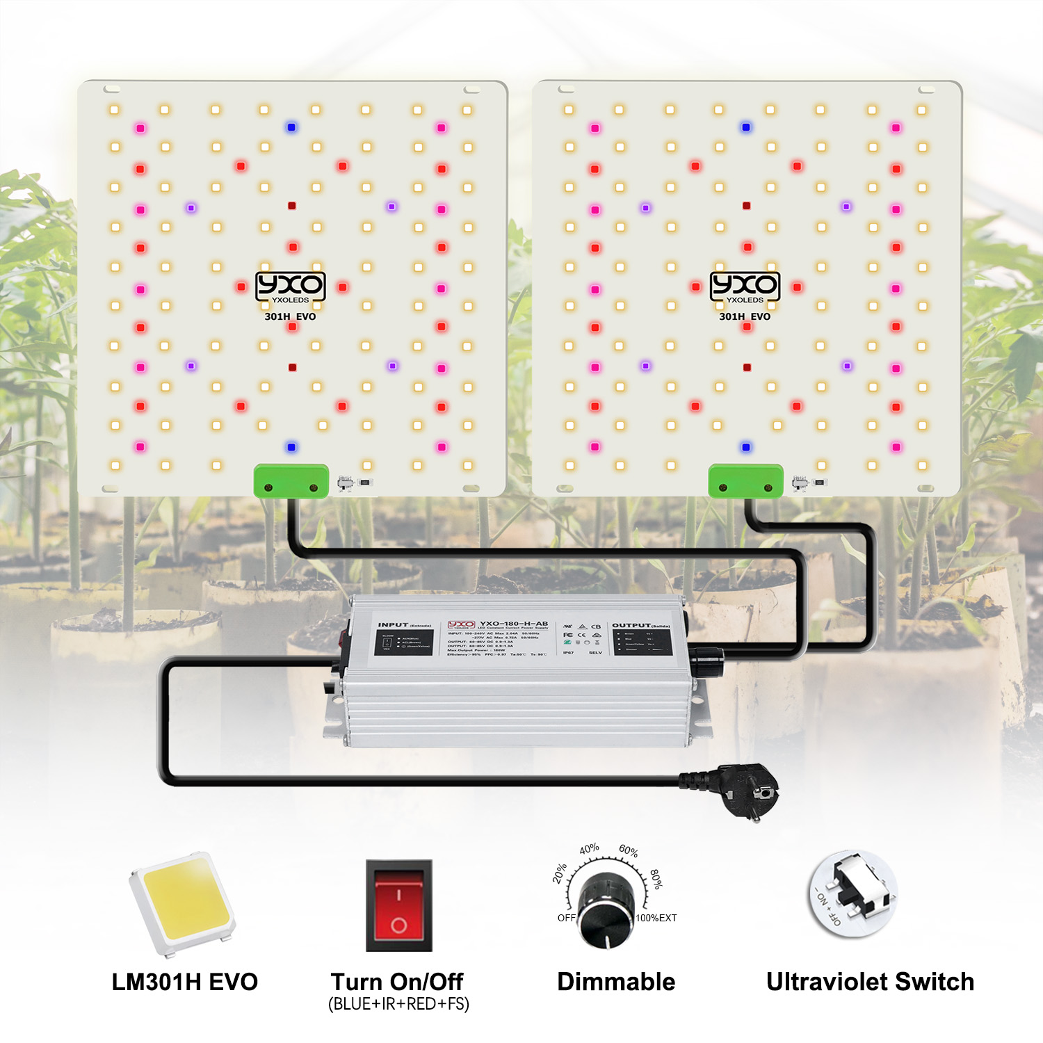 85W 180W LM301H EVO Quantum LE - Grow Tent Complete Kit recension och pris