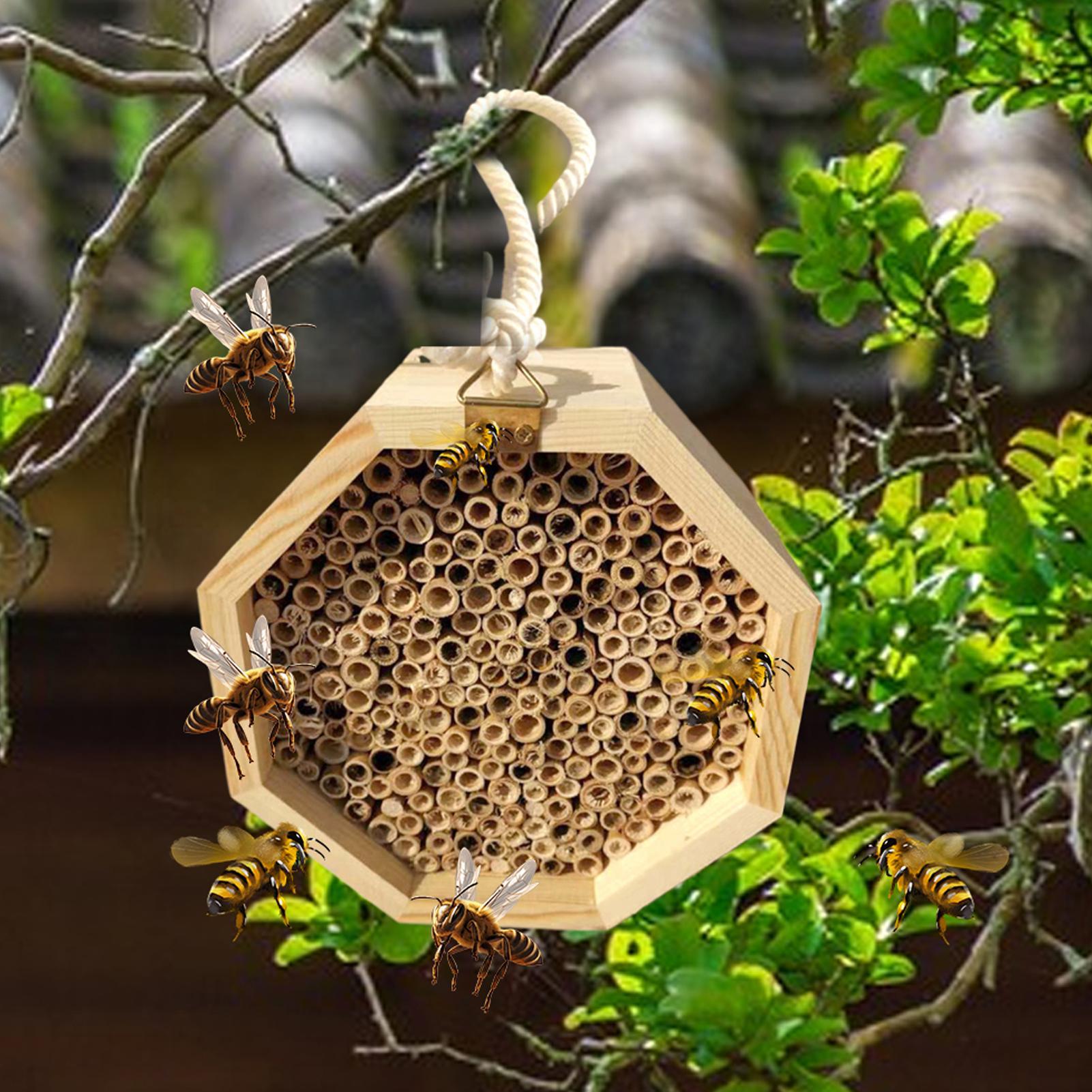 Wooden Insect Bee House Wood B - Insect Hotel Wood recension och pris