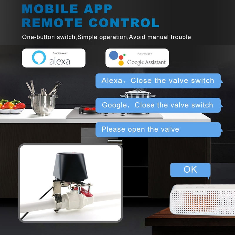 Tuya Smart Gas Valve WIFI Gard - Smart Garden Timer recension och pris