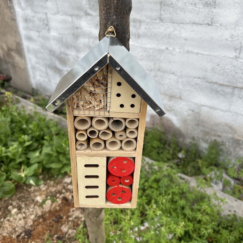 Insect House Wooden Insect Hot - Insect Hotel Wood recension och pris