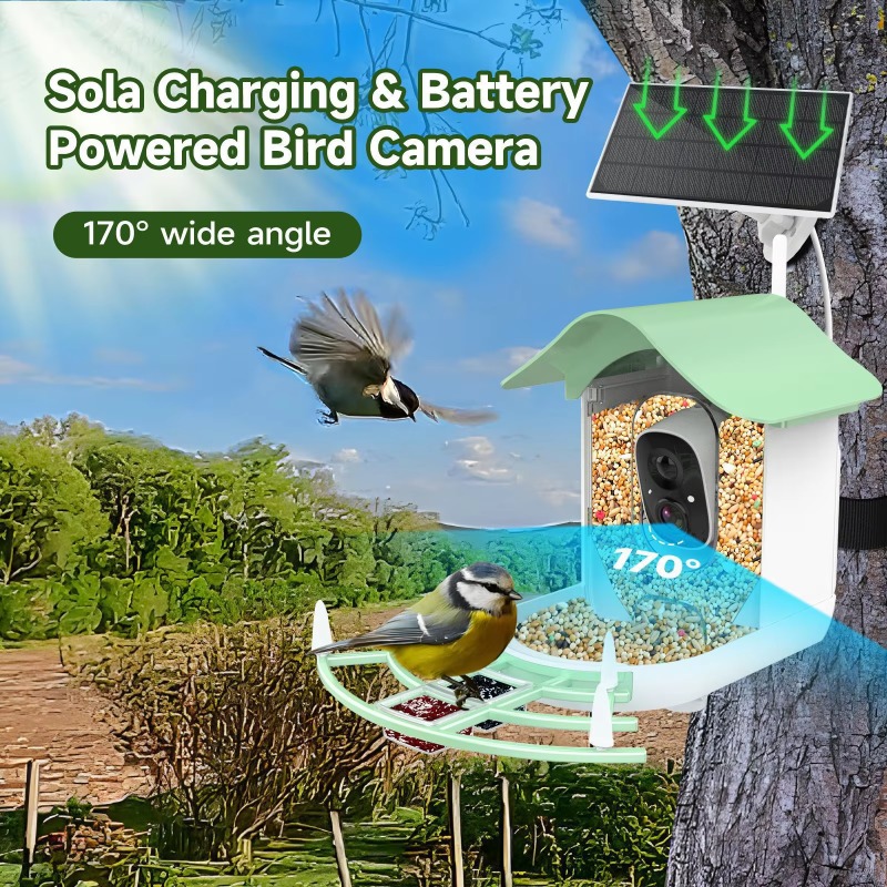 2026 App Video Auto Capture Ca - Smart Bird Feeder Camera recension och pris