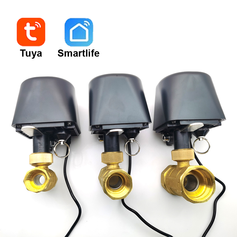 Tuya WiFi or Zigbee Water Valv - Smart Garden Timer recension och pris